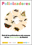 Guía de los polinizadores más comunes de las zonas verdes de Madrid