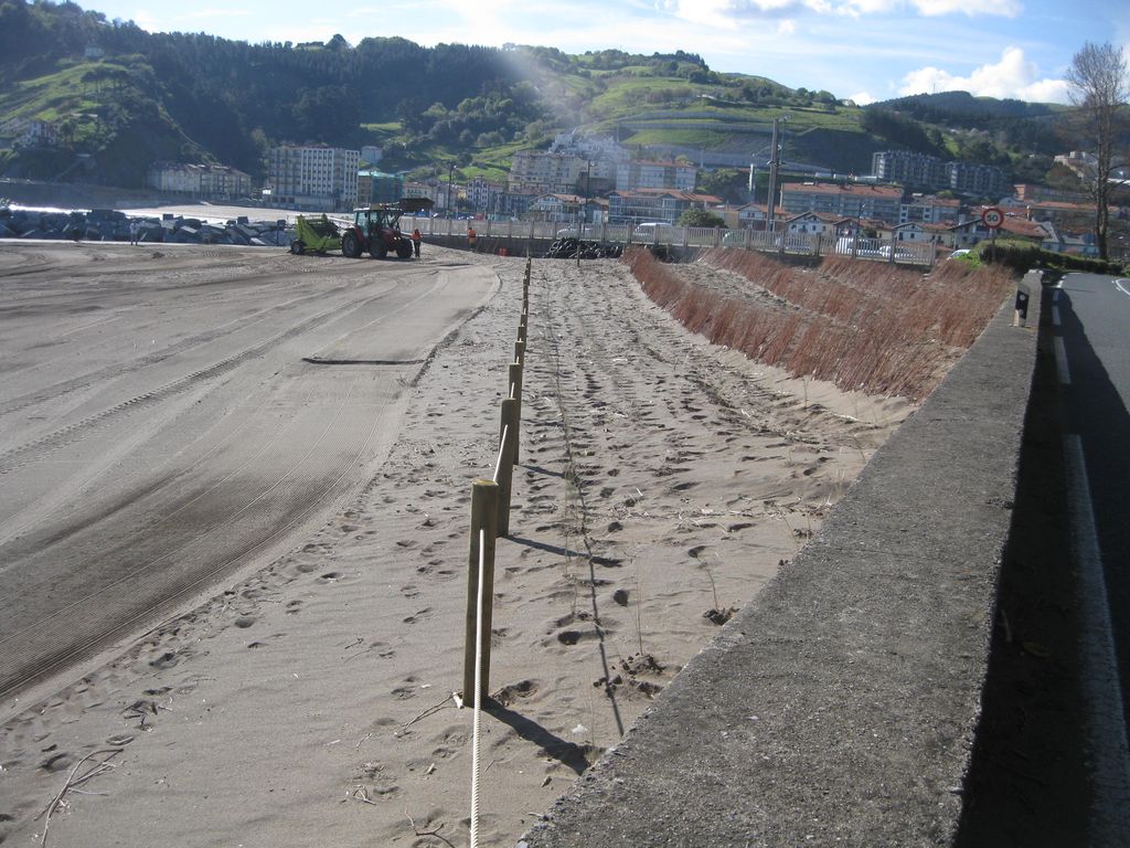 Regeneración de la duna de Ondar-Beltz. Mantenimiento del litoral 2015